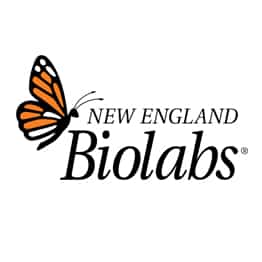 New England Biolabs